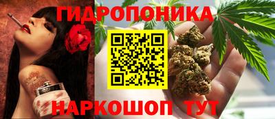 дмт Заводоуковск